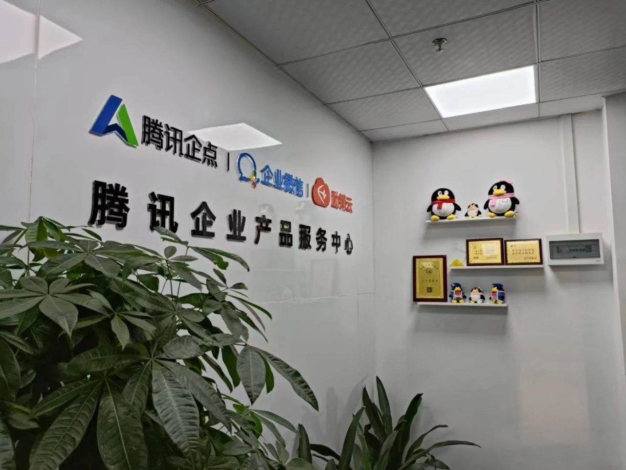 【会员风采】会员单位：深圳市搜果网络科技有限公司